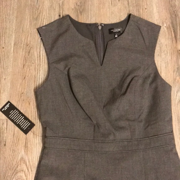 The Limited Sleeveless Dress - Picture 3 of 4